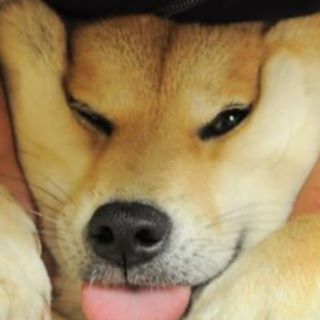 Profile Picture of Moses Hogan (@moses.hogan.355) on Facebook