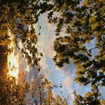 Brandon Gruber - Instagram Profile Picture of Brandon Gruber (@brandongruuber) on Instagram