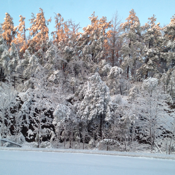 Profile Picture of Frank Battistone (@stelrman) on Poshmark