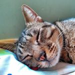 Profile Picture of Tsz Lui Lau (@kloristl) on Instagram