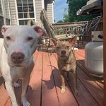 Profile Picture of Julie Carlberg Rader (@ibejules70) on Instagram