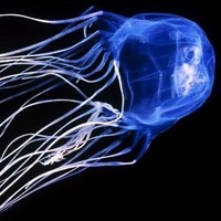 Profile Picture of Javier Mateos (@javier-mateos-3) on Quora