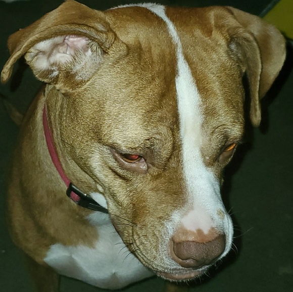 Profile Picture of Jason Meseck (@jasonmeseck) on Poshmark