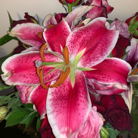 Profile Picture of Andrea Vera (@aliyahstaker) on Poshmark