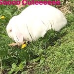 Profile Picture of Ruby (@ruby_everson) on Instagram