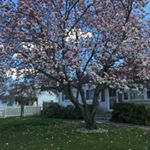 Profile Picture of Vivian Madrigal (@vivimadrigal5) on Instagram