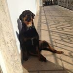 Profile Picture of mia_cascione_2120 (@mia_cascione_2120) on Instagram