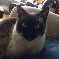 Profile Picture of Robby Long (@robby-long-2) on Quora