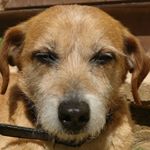 Profile Picture of Katrin Volkmann (@maxkikolito) on Instagram