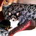 Profile Picture of Rosalind Thomas (@rosalind.thomas.9484) on Facebook