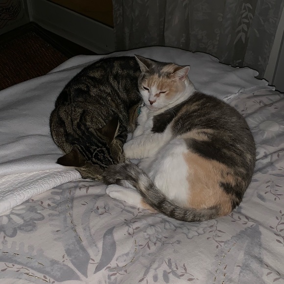 Profile Picture of Eric Bryan (@bryanfam) on Poshmark