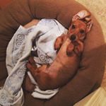 Profile Picture of Chip Crooks (@chipcrooks) on Instagram