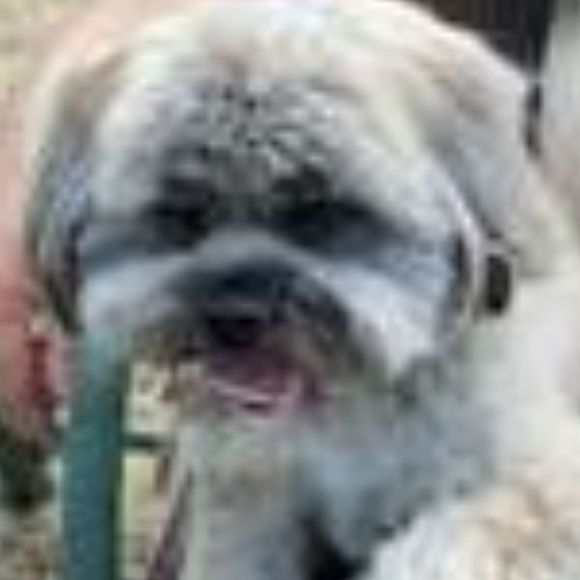 Profile Picture of Helen Aylor (@helenaylor) on Poshmark