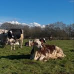 Profile Picture of Laura Delorme (@Laura-Delorme) on Facebook