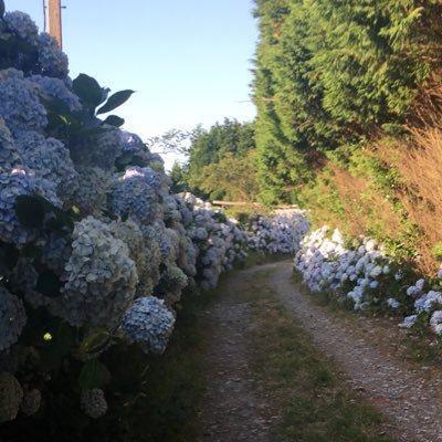 Profile Picture of Michel Gonzalez (@MichelG80798749) on Twitter