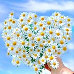 Profile Picture of JencyPaul (@jency.paul) on Instagram