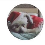 Profile Picture of rubymay (@ruby_palmer10) on Instagram