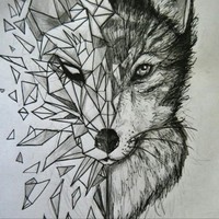 Profile Picture of Joel Schnell (@joel-schnell) on Quora