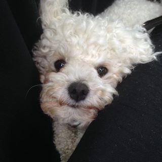 Profile Picture of Kent Hansen (@kent.hansen.313) on Facebook