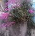 Profile Picture of Ân Trinh (@an.trinh.505960) on Facebook