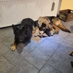 Profile Picture of Ruth Hartmann (@Ruth-Hartmann) on Facebook