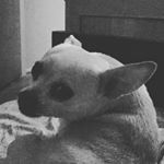 Profile Picture of Matthew Duggins (@matthewduggins) on Instagram