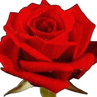 Profile Picture of Edith Roger (@edith.roger.9862) on Facebook