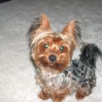 Profile Picture of Thomas Egal (Sailent Pain) (@oneoftausend) on Instagram