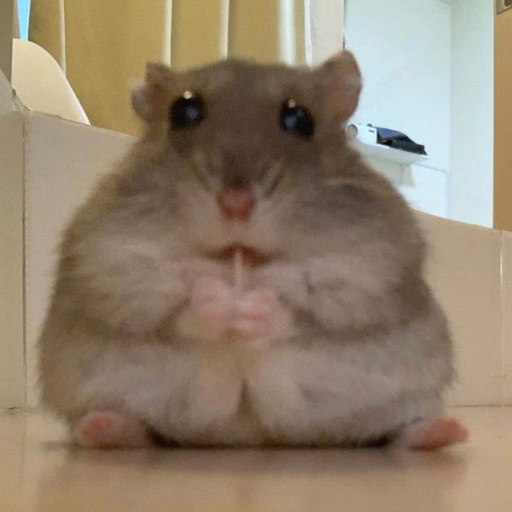 Profile Picture of Tabitha (@astliin) on Tiktok