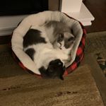 Profile Picture of Joanne Mallette (@joanne_mallette) on Instagram