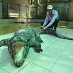 Nicholas Crouse - Instagram Profile Picture of Nicholas Crouse (@crousenicholas) on Instagram