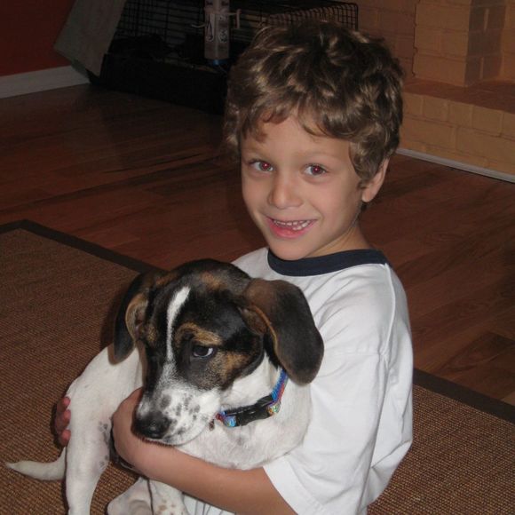 Profile Picture of Andrea Genovese (@algc63) on Poshmark