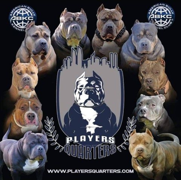 Profile Picture of Alain Pompey (@pompeyalain302) on Poshmark