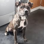 Profile Picture of Donna Kearns (@donna.kearns.31) on Facebook