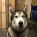 Profile Picture of Michael Wayne Pendergrass (@mike.pendergrass2) on Instagram