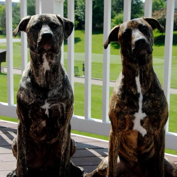 Profile Picture of Susan Kruchten (@susank521) on Poshmark