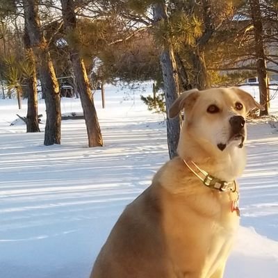 Profile Picture of SandyJB (@BernhardSandy) on Twitter