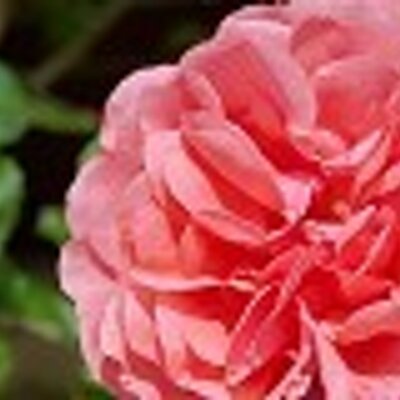Profile Picture of Edward Knapp (@Edwardknapp1) on Twitter