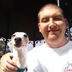 Profile Picture of Paul Garbutt (@lokiwhippet) on Instagram