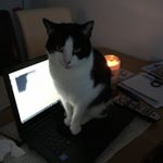 Profile Picture of Gemma Britton (@gemma13570) on Instagram