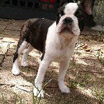 Profile Picture of John Bailey (@johnbonbailey) on Instagram