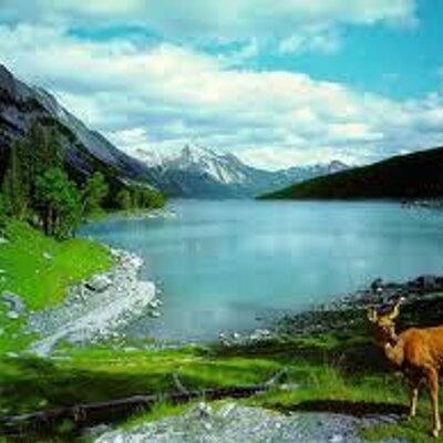 Profile Picture of Ayhan Uzun (@ayhanuzun14) on Twitter