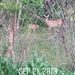 Profile Picture of John  Chrisagis (@jo_hn6446) on Instagram