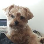 Profile Picture of SeanCoburn (@seancburn) on Instagram