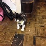 Profile Picture of Regan (@regan_hutchison_bob) on Instagram