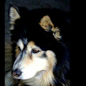 Profile Picture of Daniel Hays (@freedomhays) on Youtube