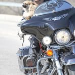 Profile Picture of Murray Fenstermacher (@murray.fenstermacher.3) on Facebook