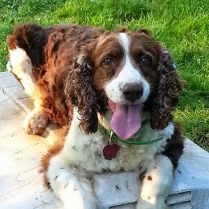 Profile Picture of Rebecca Pistubbee (@rebeccapistubbee) on Tiktok