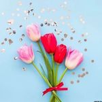 Profile Picture of akram alawi (@sofiakoch5) on Instagram