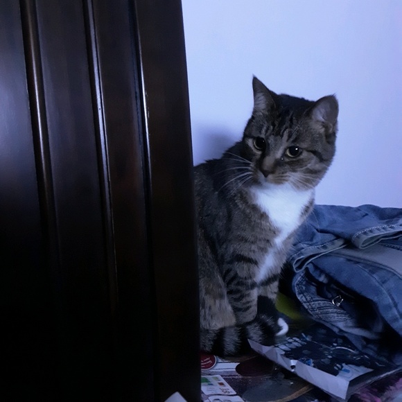 Profile Picture of Fran .orris (@blonde1581) on Poshmark